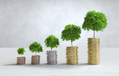EN - Refurbished Professional PCs – sustainable, High-Performance & Affordable